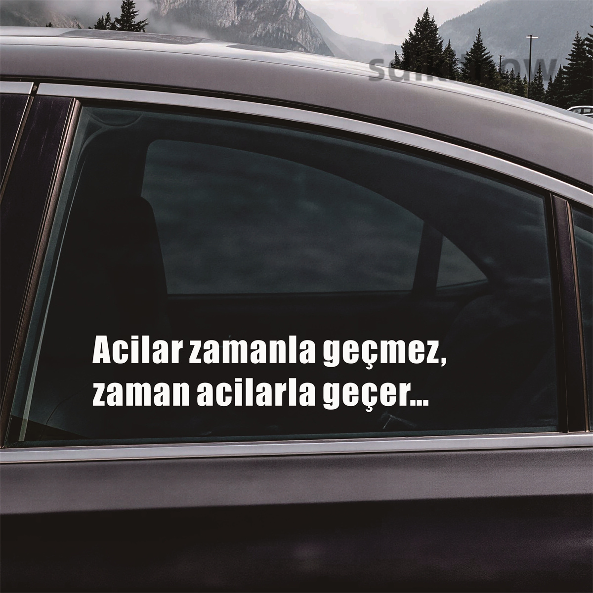 Araba etiketi duvar kapı çıkar - Car Accessories Quotation incelemesi ve fiyatı